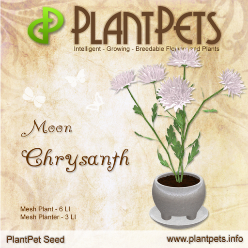 PlantPet Seed [Chrysanth *Moon*]