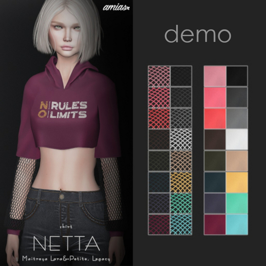 amias - NETTA demo