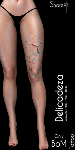 ShareX Studio "Delicadeza"  Leg Tattoo