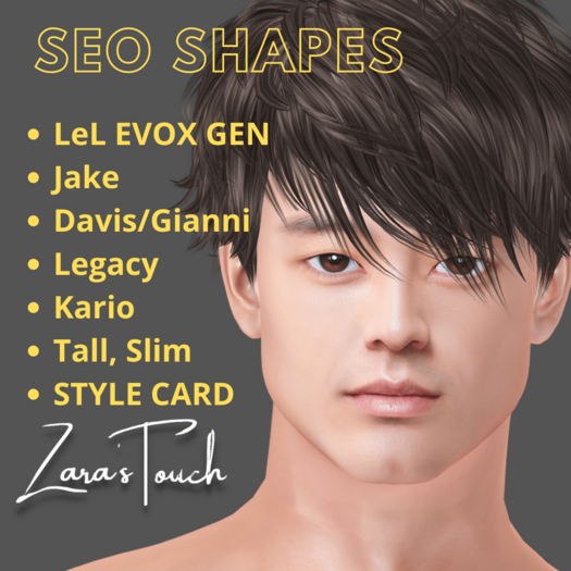 SEO Shapes - Zara's Touch