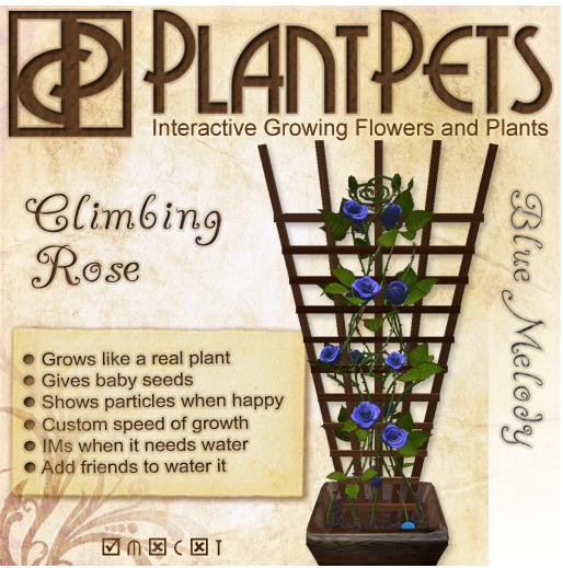 PlantPet Seed [Infinity Bamboo Rose *Blue Melody*]