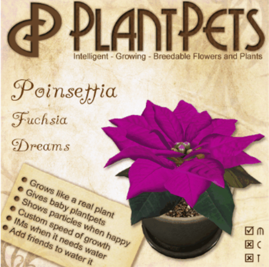 PlantPet Seed [Poinsettia *Fuchsia Dreams*]