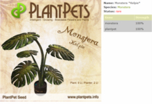 PlantPet Seed [Monstera *Kelpie*]-Rare-Taking care of Plantpets is FREE!!
