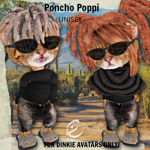 ~*ema's dinkie-Poncho Poppi boxed (ADD)