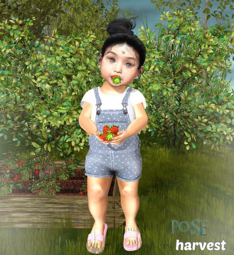 p.o.s.e. harvest  BB