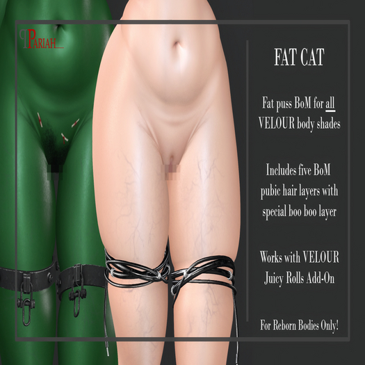 .:.Pariah.:. Fat Cat Regular Shades