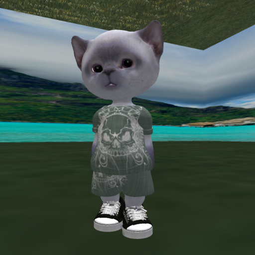 skullzz set
