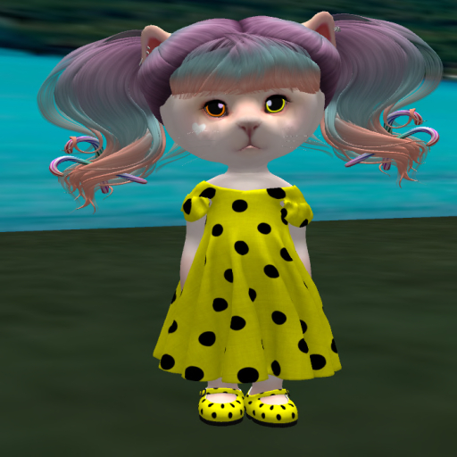 polka yellow set