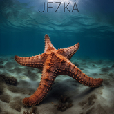JEZKA - Full Perm Texture 459