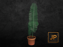 7. Myrrine. Anouk set plant