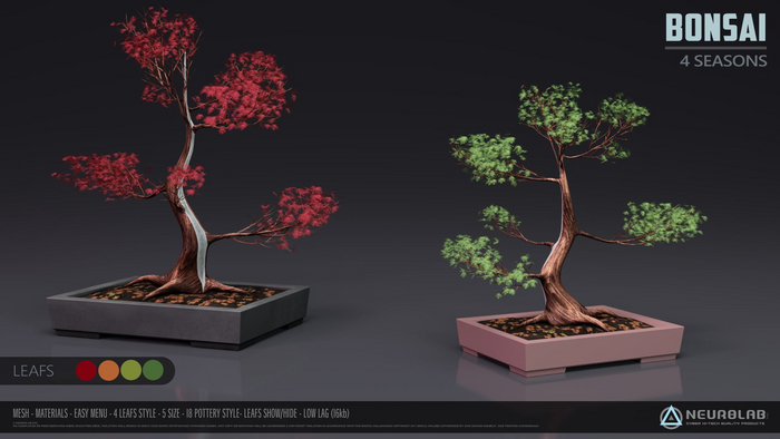 BONSAI JAP. MAPLE 4 SEASONS [NeurolaB Inc.]
