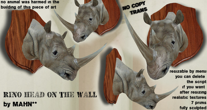 **MAHN Rino Head on the wall