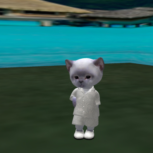 comes summer gray SET