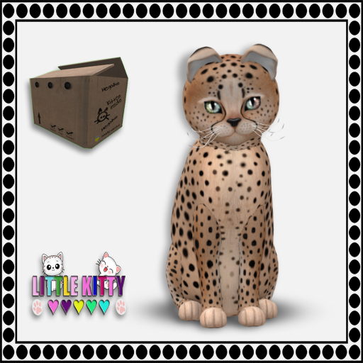 KittyCatS Box - 9T Cheetah! - Au Natural/DreamyOasis F