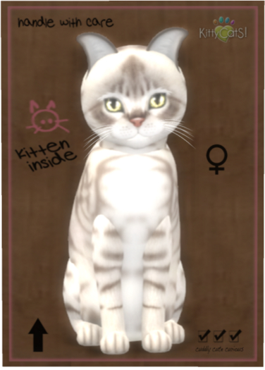 KittyCatS Box - Australian Mist - Blue Marble