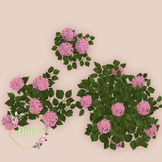 flory. - Hydrangea Bushes Pink / ADD