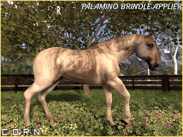 C O R N - Palamino Brindle