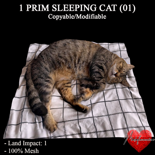[MLF] 1 PRIM SLEEPING CAT (01)