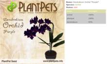 PlantPet Seed [Dendrobium Orchid *Purple*]-Rare-Taking care of Plantpets is FREE!!