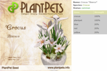 PlantPet Seed [Crocus *Bianco*]-Common-Taking care of Plantpets is FREE!!