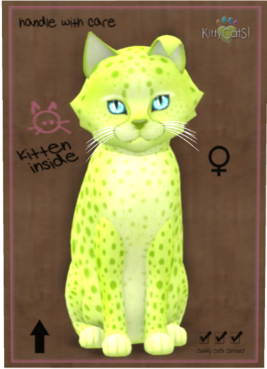 KittyCatS Box - Cheetah! - Lime No. 2