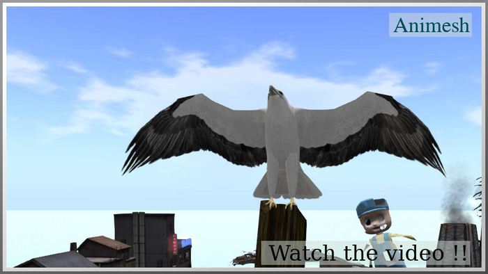 41012 sitting sea eagle