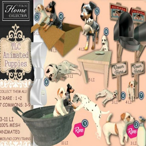 *TLC Puppies 8_Common