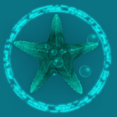 Papillon Starfish Tier 1 Diminutive/Normal Silly Type-A,