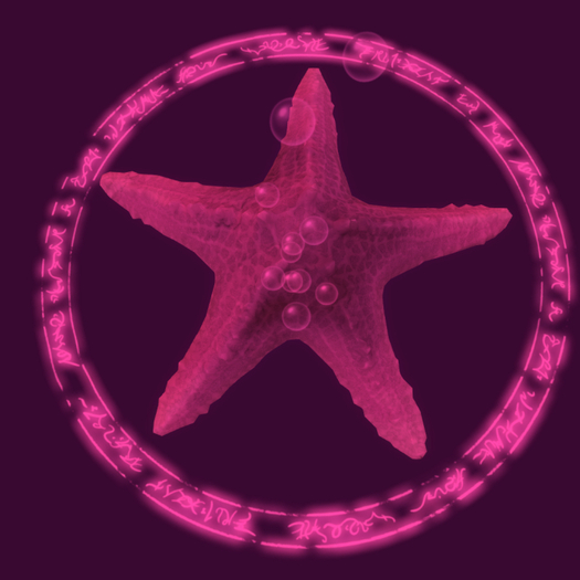 Papillon Starfish Tier 5 Diminutive/Dull Blissful Type-A,