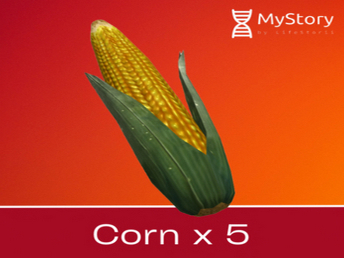 Corn - [MyStory]