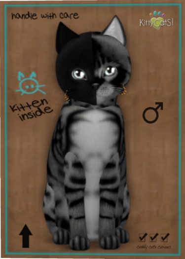 KittyCatS Box - Chimera - Charcoal Mist