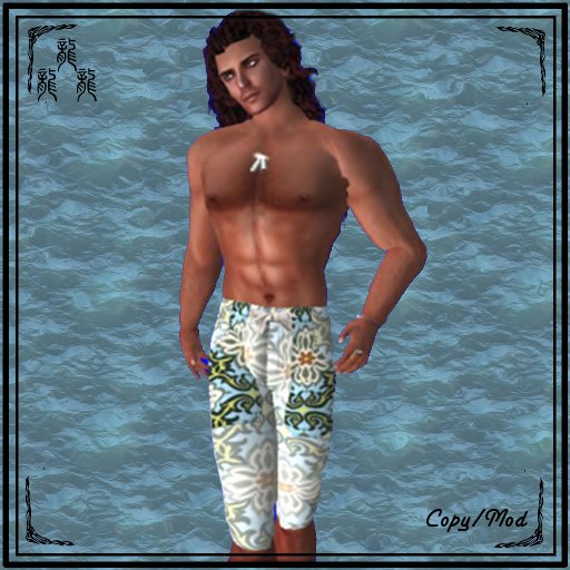 Surfer Blue Dragon Shorts