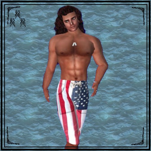 USA Board Shorts