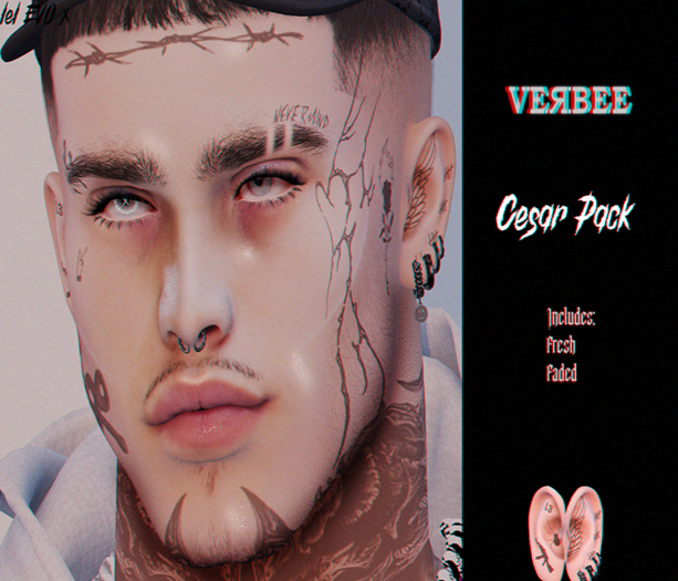 VB  -  Cesar Pack
