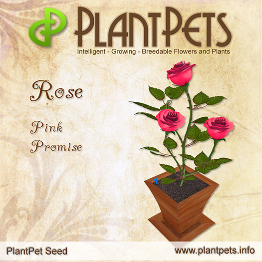 PlantPet Seed [Rose *Pink Promise*]