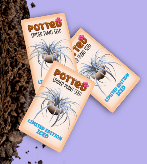 Second Life Marketplace - Potted Spider Plant Seed LE Iced