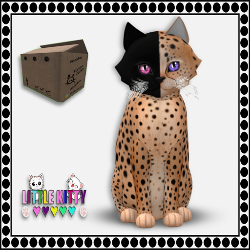 KittyCatS Box - 9T Chimera - Spotted Flame/Fancie F