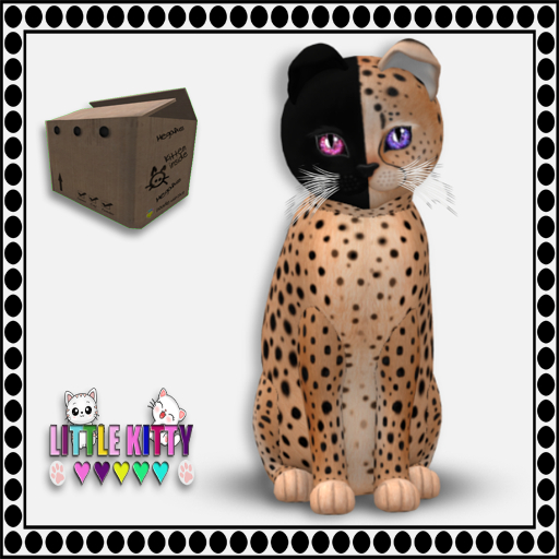 KittyCatS Box - 9T Chimera - Spotted Flame/Fancie M