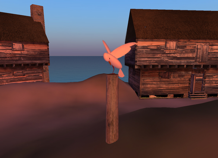 Seagull - Animated