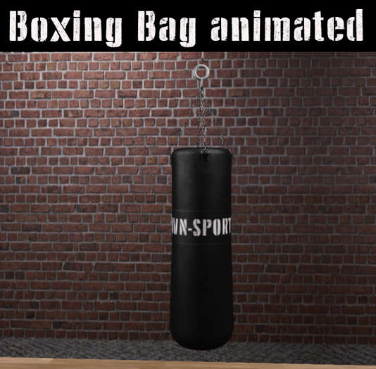Boxing Bag Black Leather  Animated   