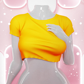 Palette - Gina Top [Orange]