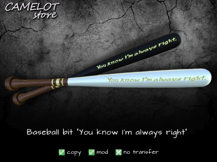 CAMELOT Bit "You know  I am always right"