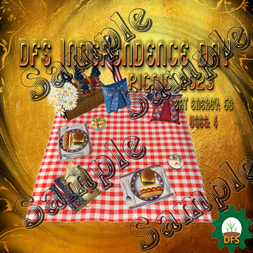 DFS Texture Ingependence day - picnic 2023
