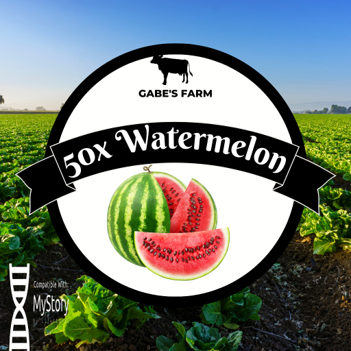 Mystory WATERMELON 50