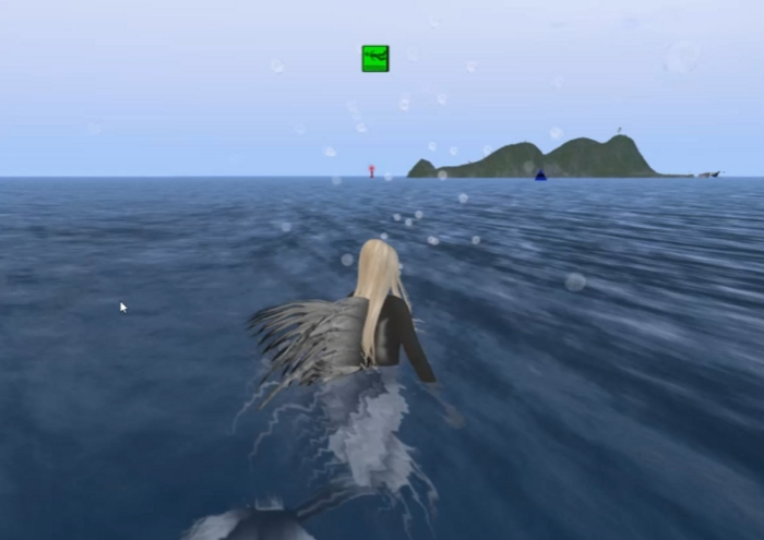 Swim height controller
