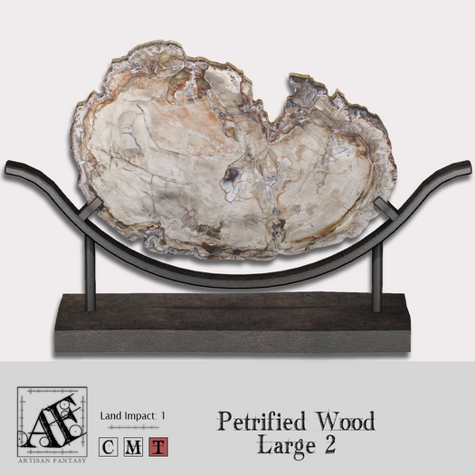 *AF* Petrified Wood Lg 2
