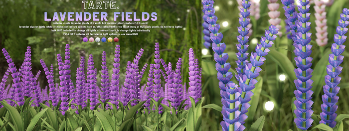 tarte. lavender fields - FULL SET