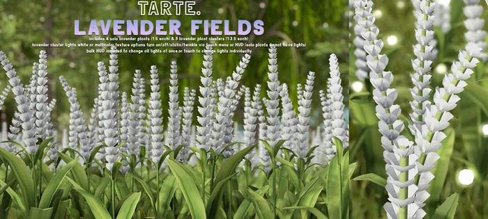 tarte. lavender fields (white)