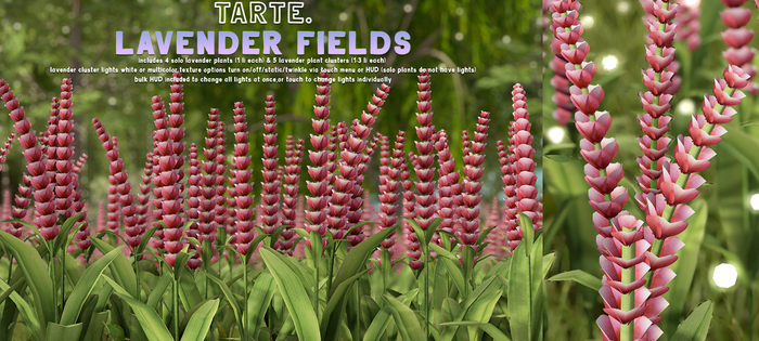 tarte. lavender fields (red)