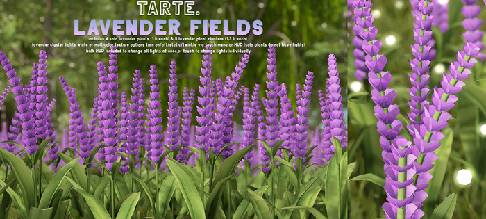 tarte. lavender fields (purple)